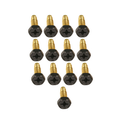 54001 Brass Screws (13 pack)