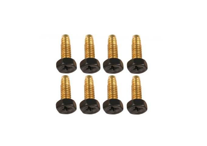 Mat Brass Screw Set